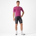 Bekleidung Herren Cyclamen Trikot Giro d'Italia 2024 Classification Bekleidung Herren Cyclamen Trikot Giro d'Italia 2024 Classification