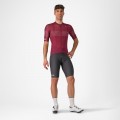 Bekleidung Herren Trofeo Giro d'Italia 2024 Trikot-Bordeaux