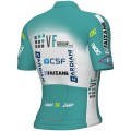 Bekleidung Herren Ale VF Group-Bardiani CSF-Faizane 2024 trikot
