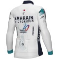 Bekleidung Herren Ale Bahrain Victorious 2024 langarmtrikot trikot Bekleidung Herren Ale Bahrain Victorious 2024 langarmtrikot trikot