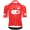 Bekleidung Herren Q36.5 Tour de Suisse 2025 Gregarius Pro trikot-Climber