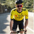 Bekleidung Herren Team Visma Lease a bike 2025 trikot