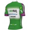 Green Project-Bardiani Csf-Faizane' 2023 Radtrikot kurzarm(langer RV)-ALE