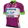 BARDIANI CSF FAIZANE' 2022 Radtrikot kurzarm(langer RV)-ALE BARDIANI CSF FAIZANE' 2022 Radtrikot kurzarm(langer RV)-ALE